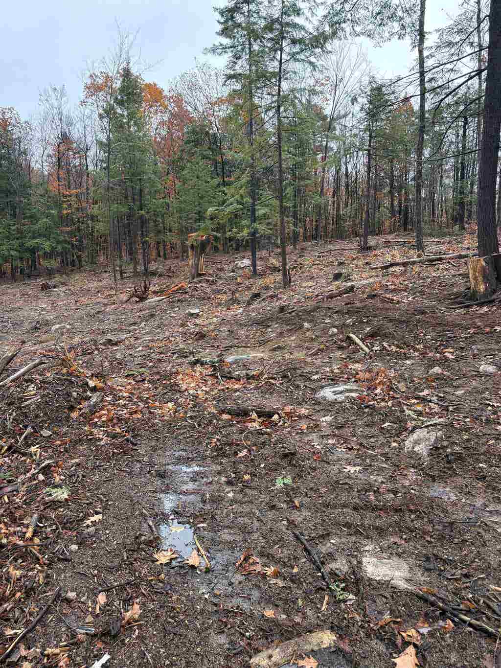 Photo of 12 Sugarloaf Drive #10, Ossipee, NH 03814 (MLS # 5096969)