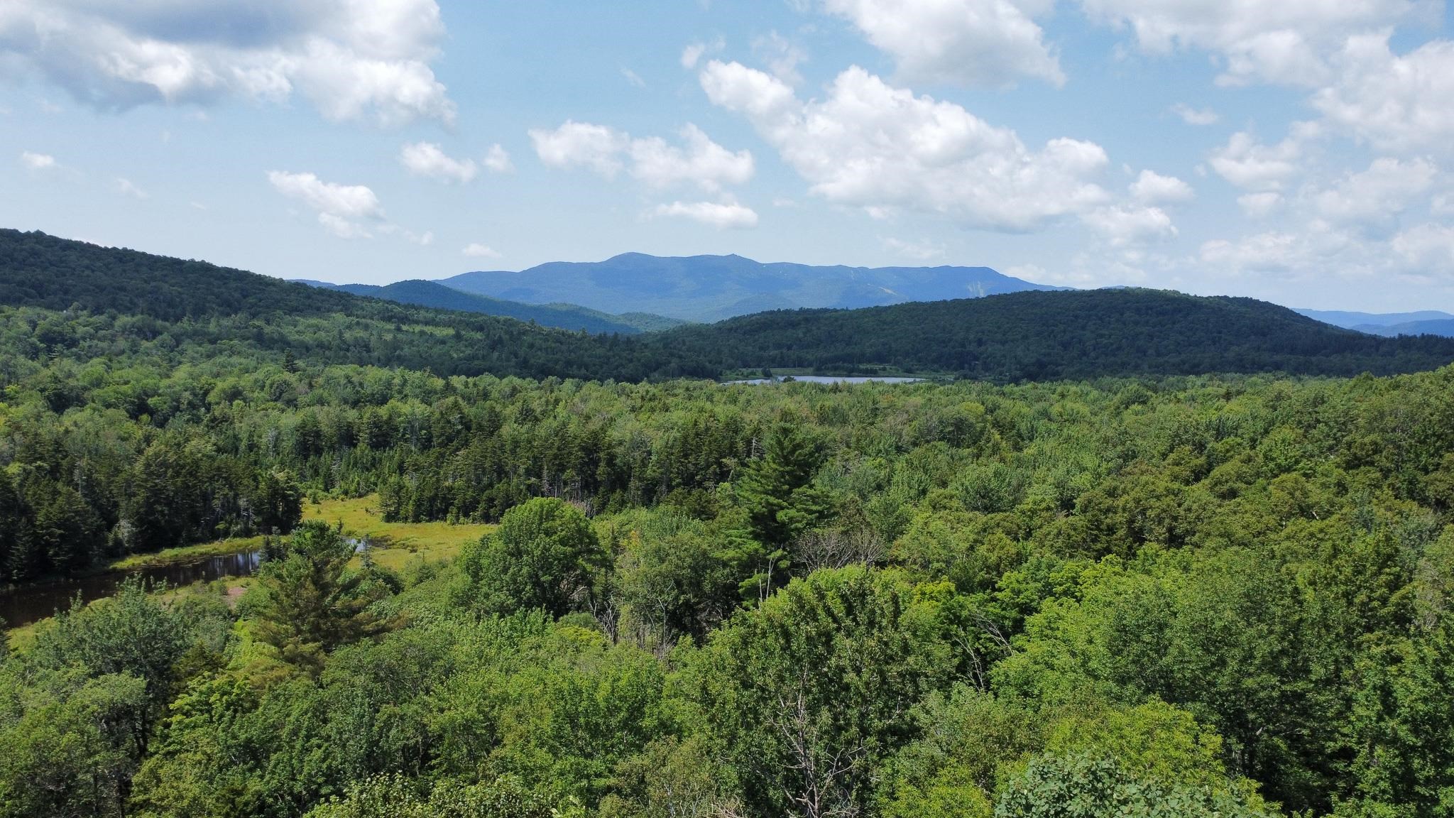 00 Prickly Mountain Road - Photo 3