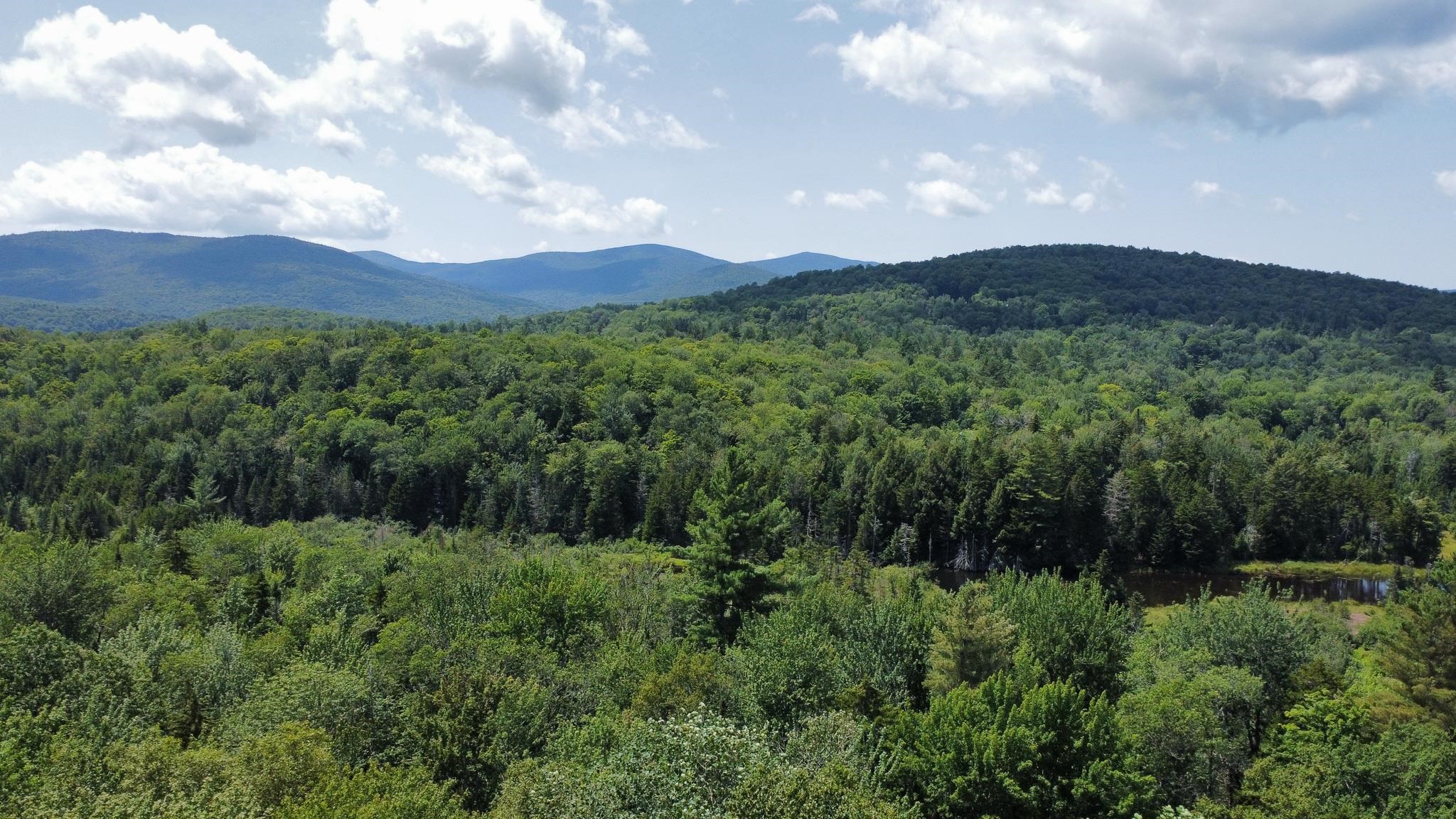 00 Prickly Mountain Road - Photo 2