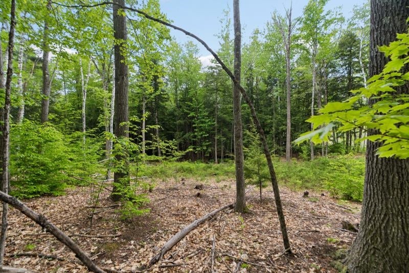00 Corno Road and Canaan Street All 8 Lots