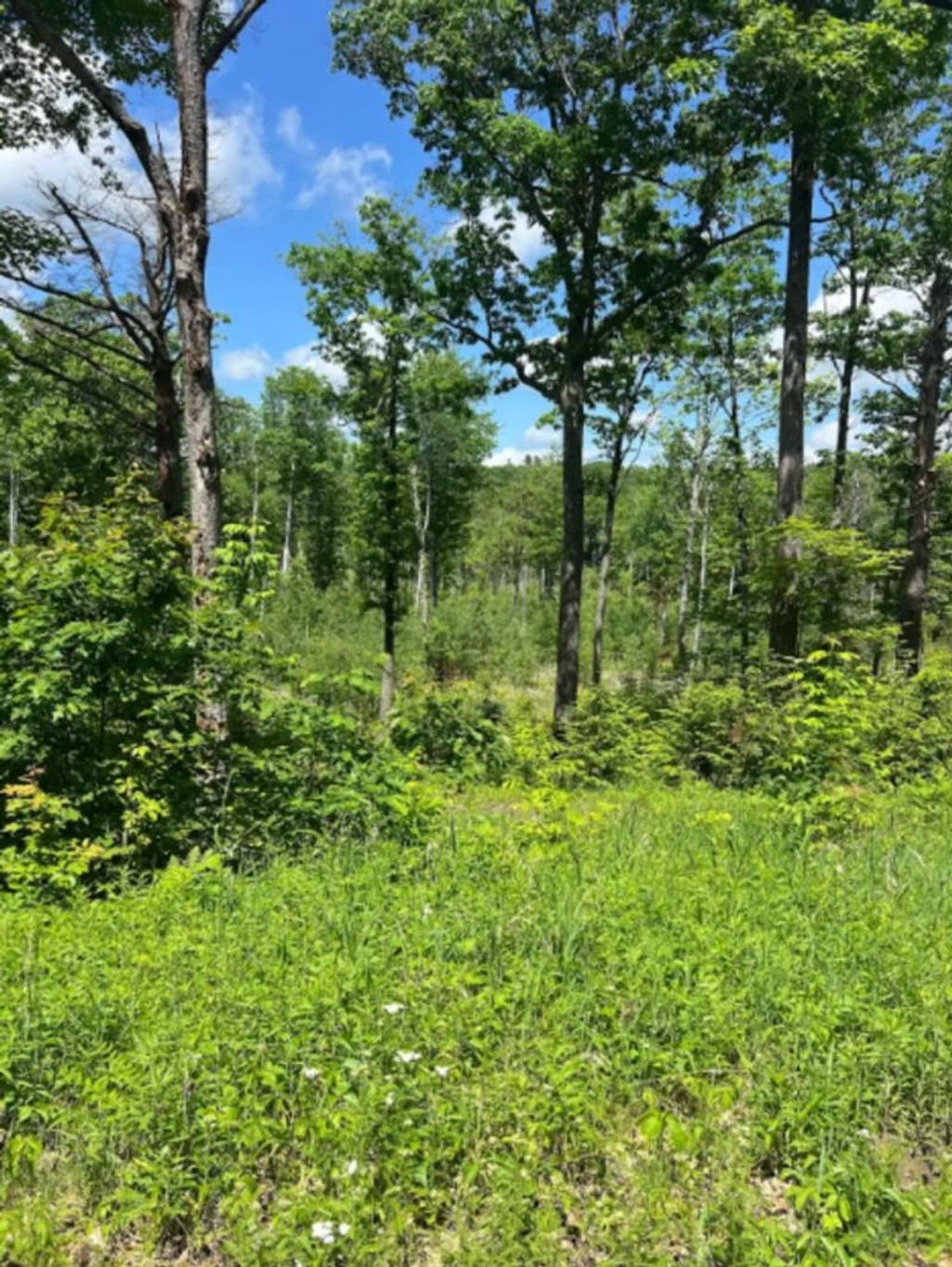 Photo of 00 Corno Road and Canaan Street #All 8 Lots, Canaan, NH 03741 (MLS # 5094473)