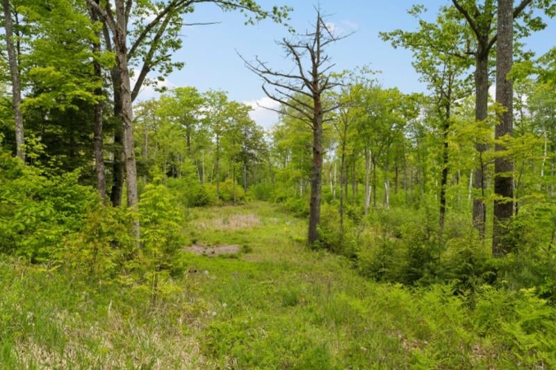 00 Corno Road and Canaan Street All 8 Lots