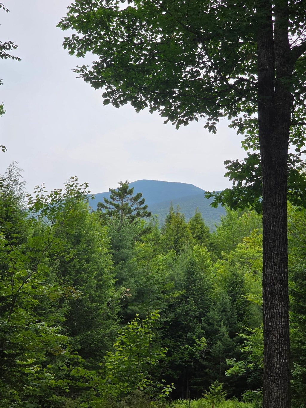 Photo of 00 Stimson Road, Warren, NH 03279 (MLS # 5101742)