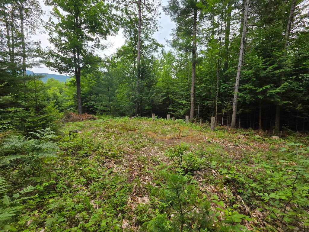 Photo of 00 Stimson Road, Warren, NH 03279 (MLS # 5101742)