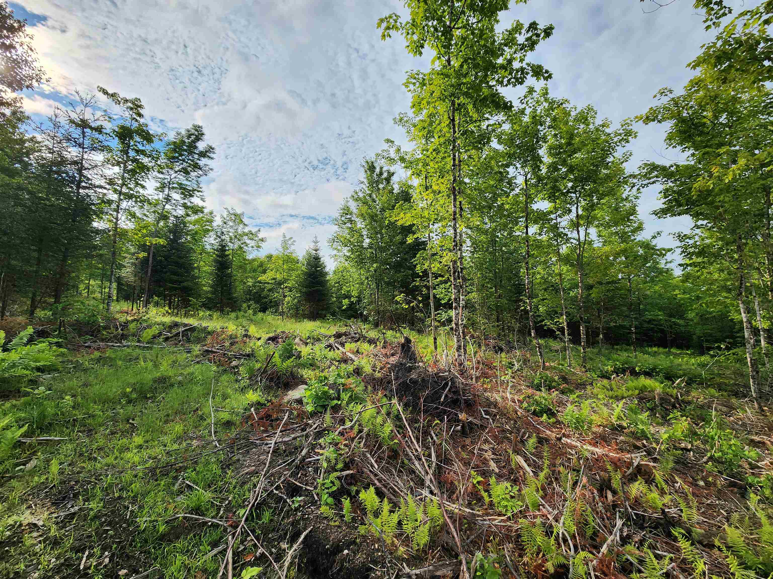 Lot 15 Ginnie Lane R020-0010-0015