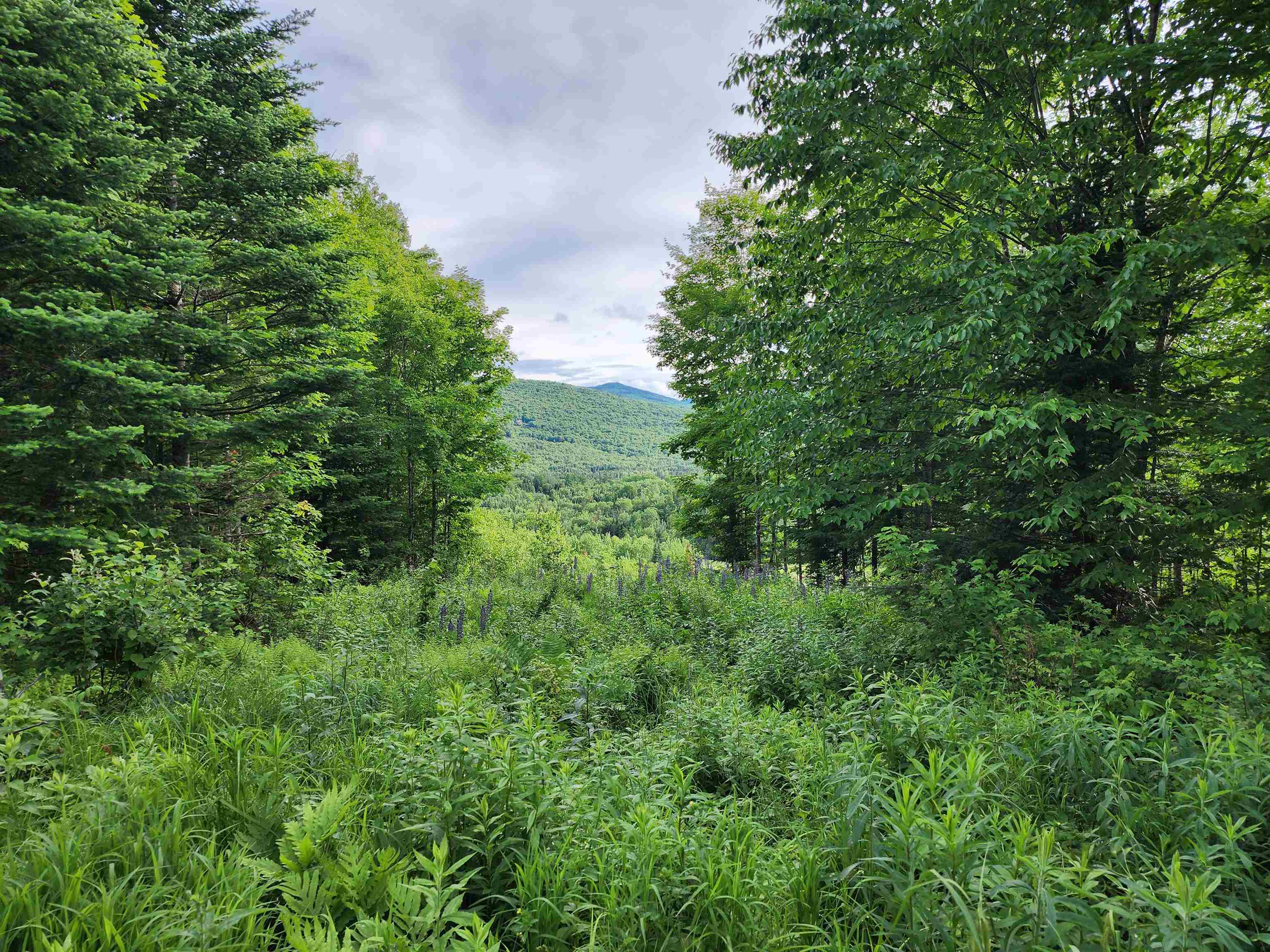 Lot 15 Ginnie Lane R020-0010-0015