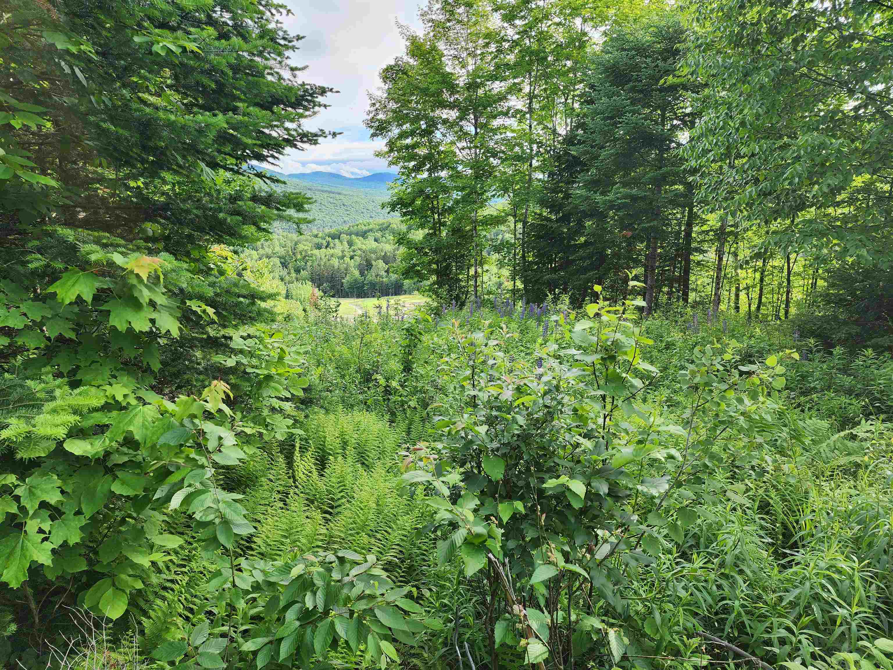 Lot 15 Ginnie Lane R020-0010-0015