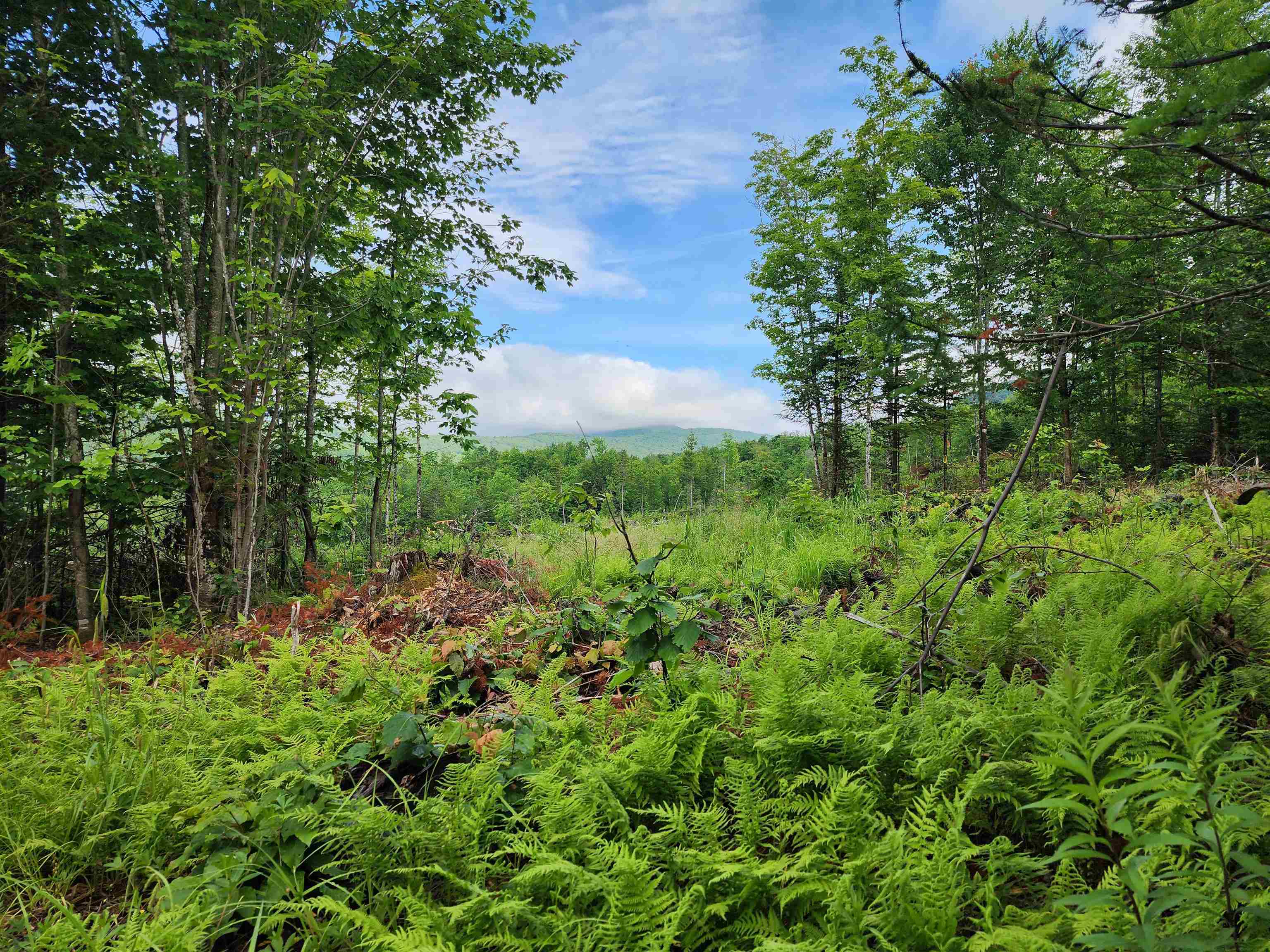 Lot 15 Ginnie Lane R020-0010-0015