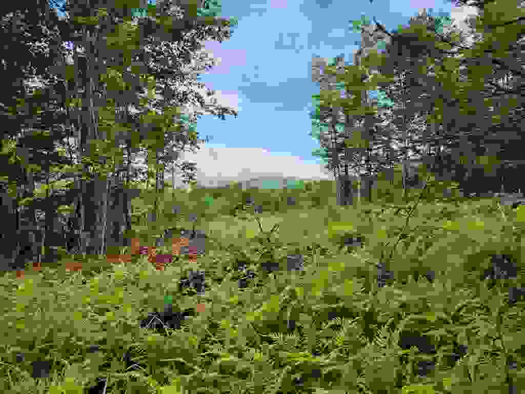 Photo of 15 Ginnie Lane #R020-0010-0015, Errol, NH 03579 (MLS # 5097999)