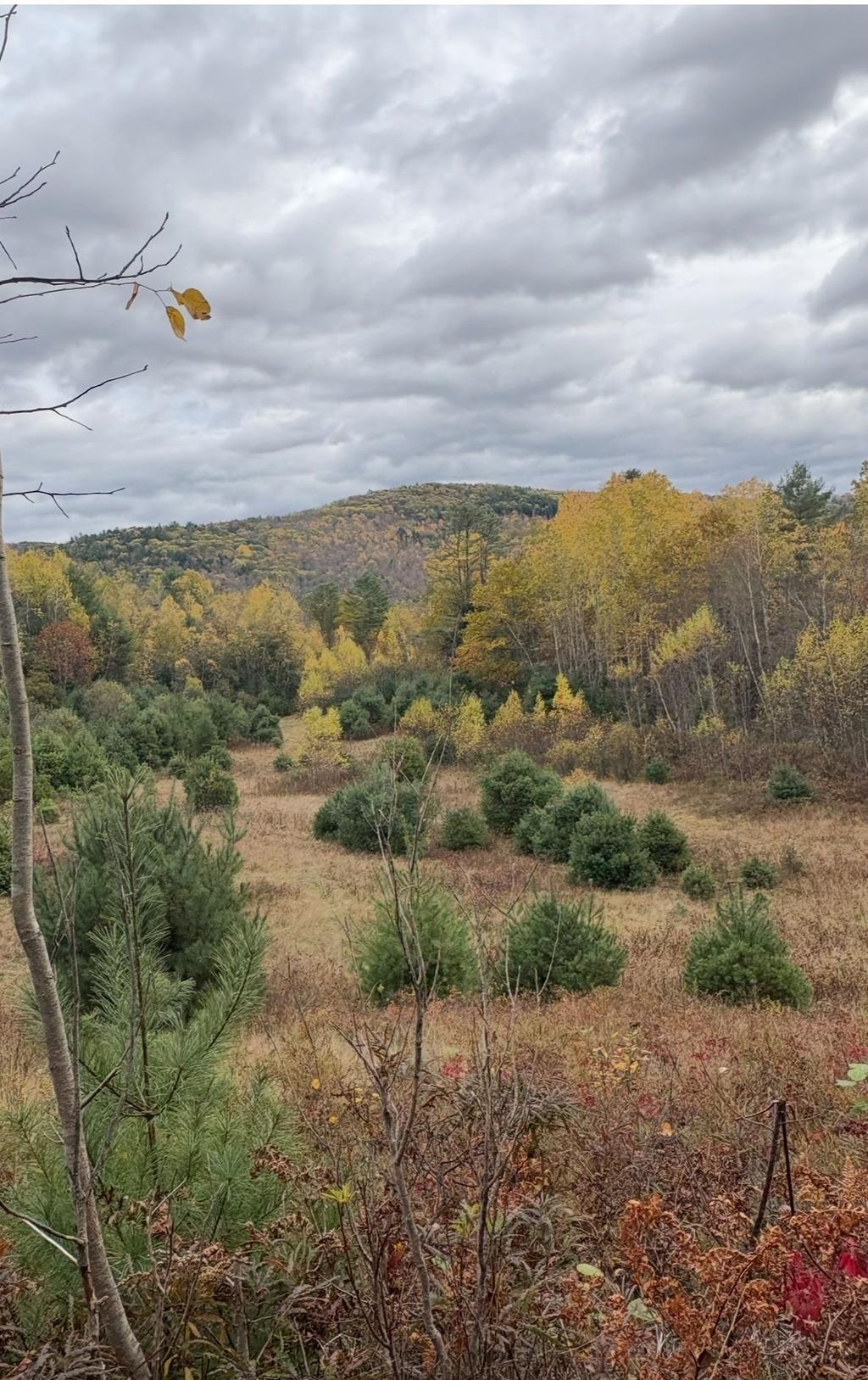 Photo of 4 Catterall Road, Lisbon, NH 03585 (MLS # 5090830)