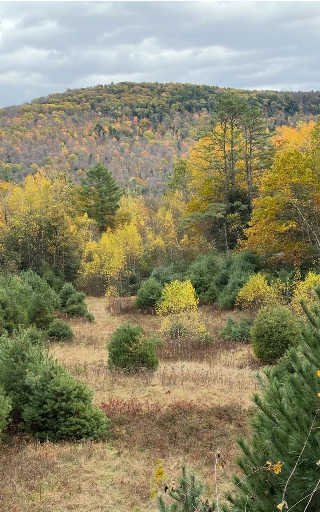 Photo of 4 Catterall Road, Lisbon, NH 03585 (MLS # 5090830)