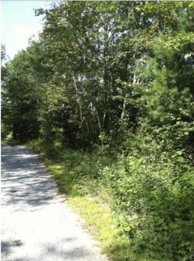 Lot 4 Catterall Road