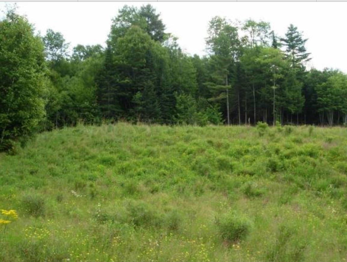 Lot 4 Catterall Road