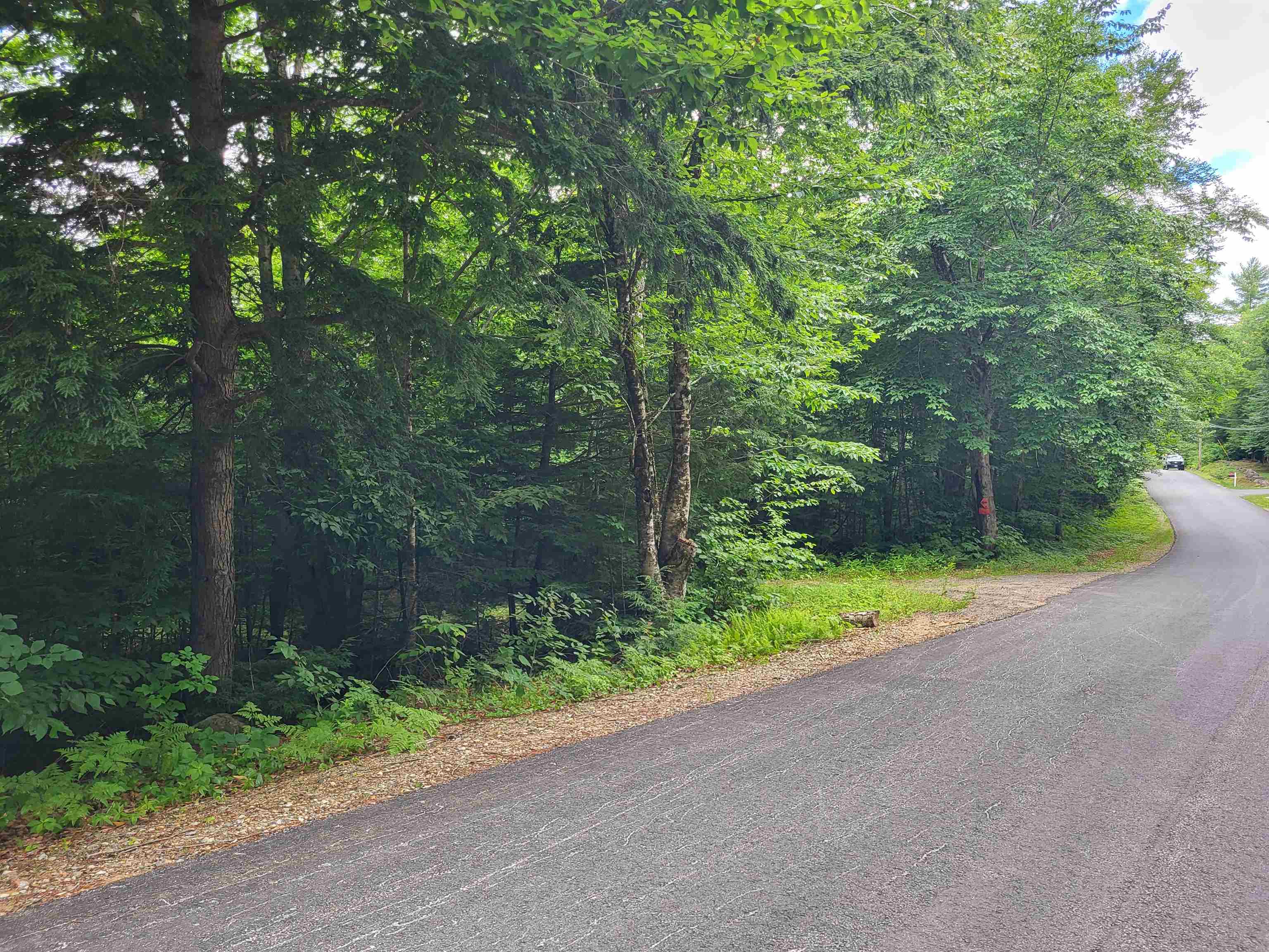 Lot 2 Bear Mountain Road