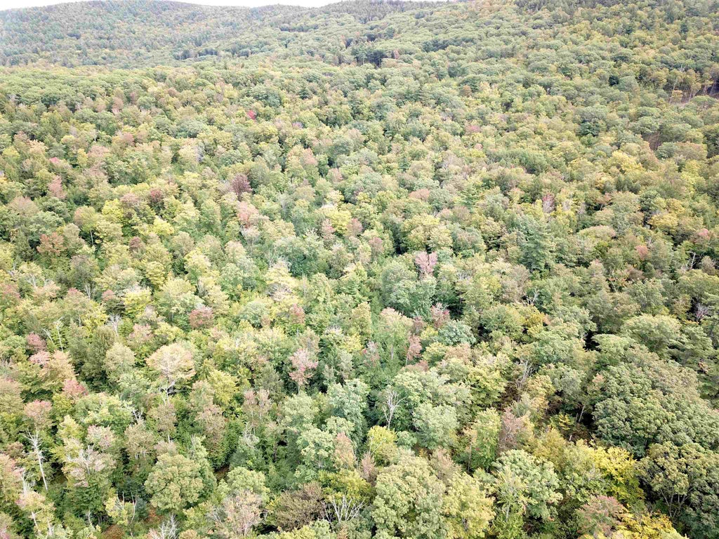 Photo of 217 Horne, Warner, NH 03278 (MLS # 5110793)