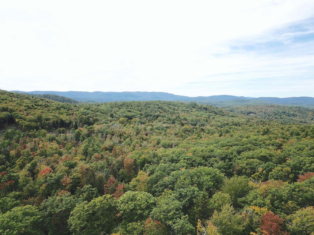 Photo of 217 Horne, Warner, NH 03278 (MLS # 5110793)