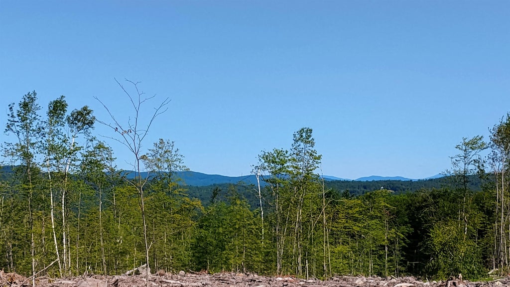 Photo of xx Isaac Colby Road, Sanbornton, NH 03269 (MLS # 5101942)