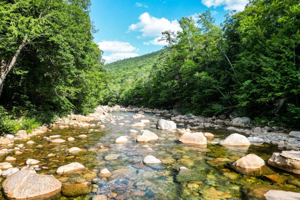Photo of 633 Cobb Farm Road, Harts Location, NH 03812 (MLS # 5101232)