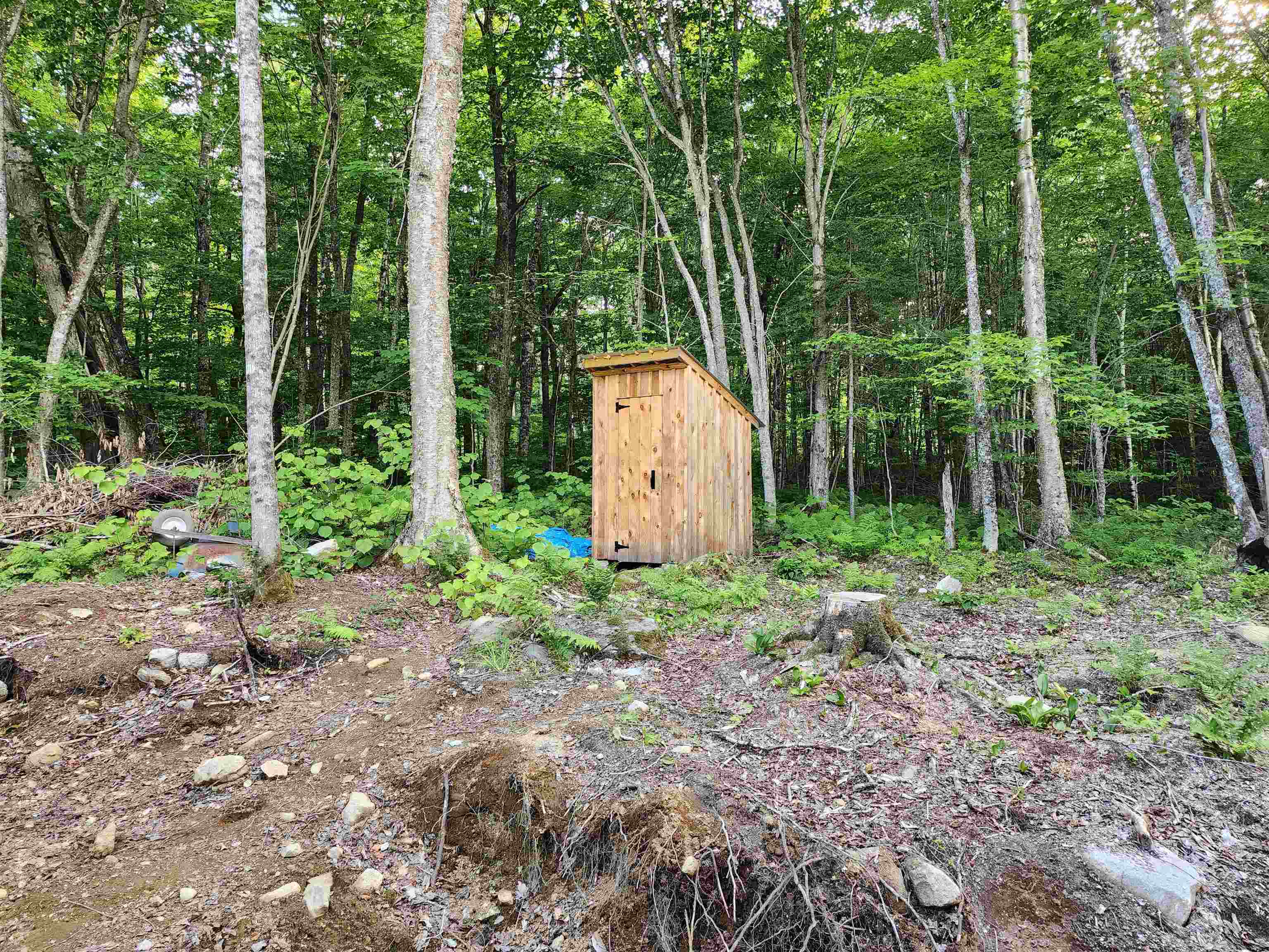 000 Hampshire Woods Loop R013-0007-0039