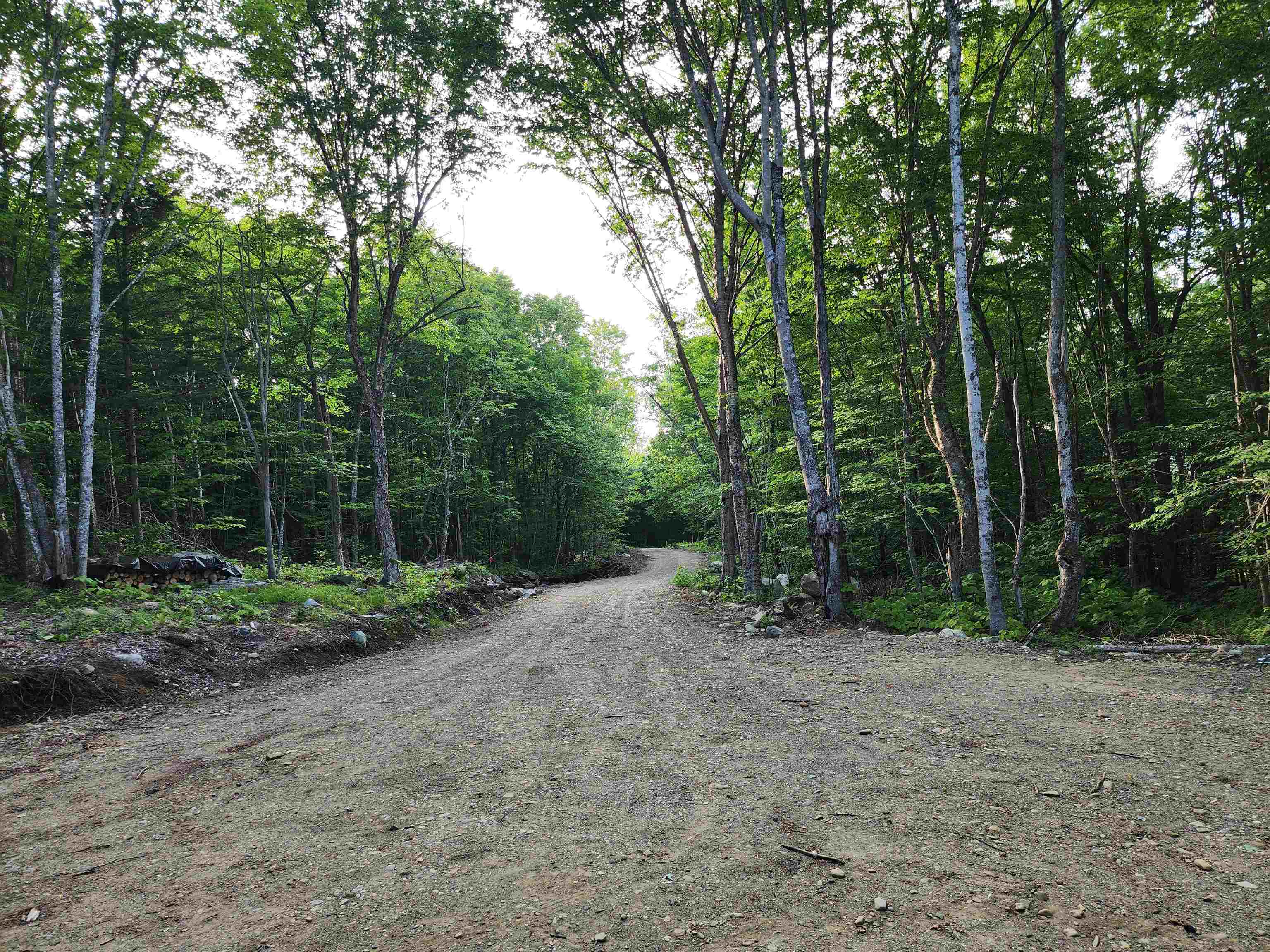 000 Hampshire Woods Loop R013-0007-0039