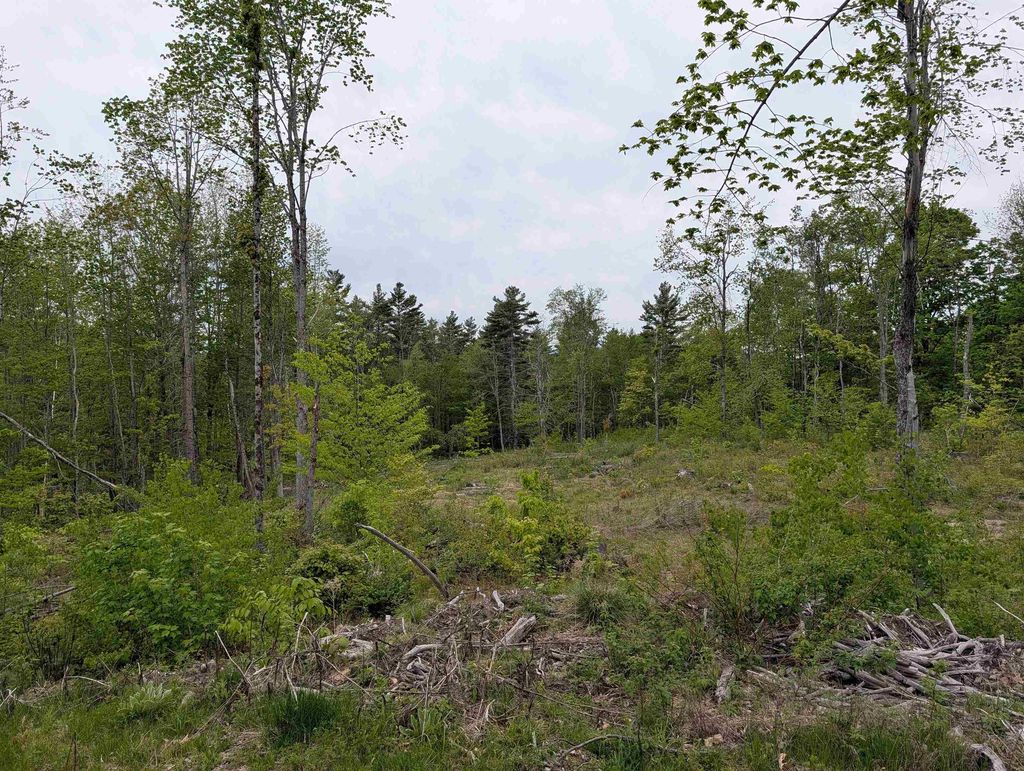 Photo of 367 Height of Land Road, Grafton, NH 03740 (MLS # 5097842)
