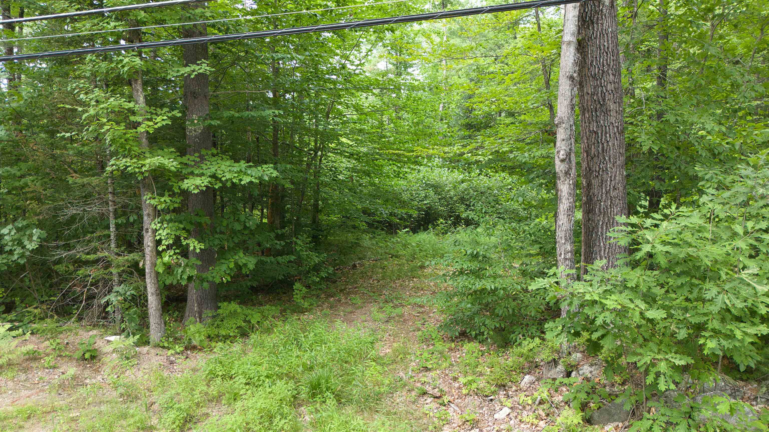 Lot 1,2,3 Colcord Hill Road