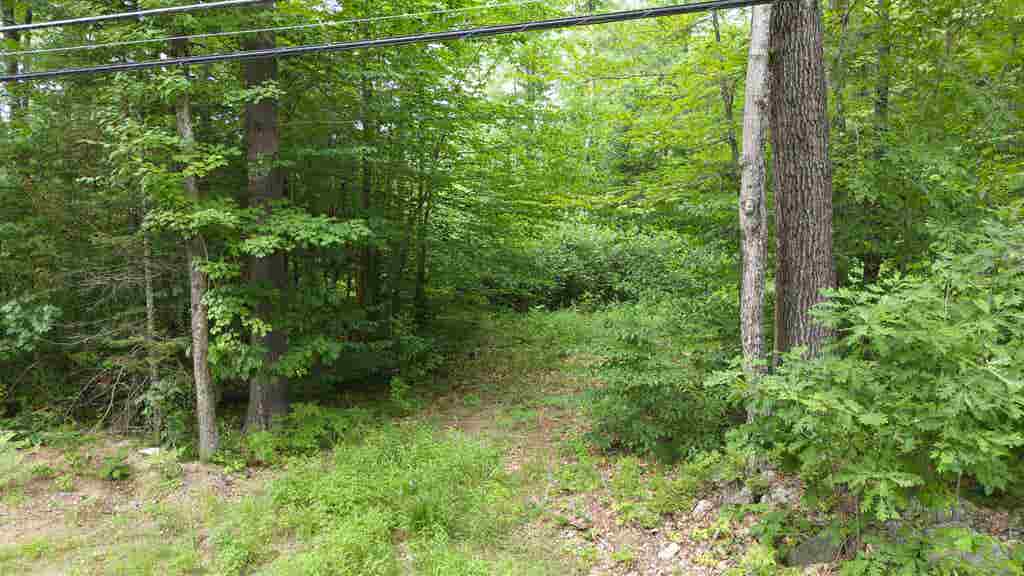 Photo of 123 Colcord Hill Road, Effingham, NH 03882 (MLS # 5104282)