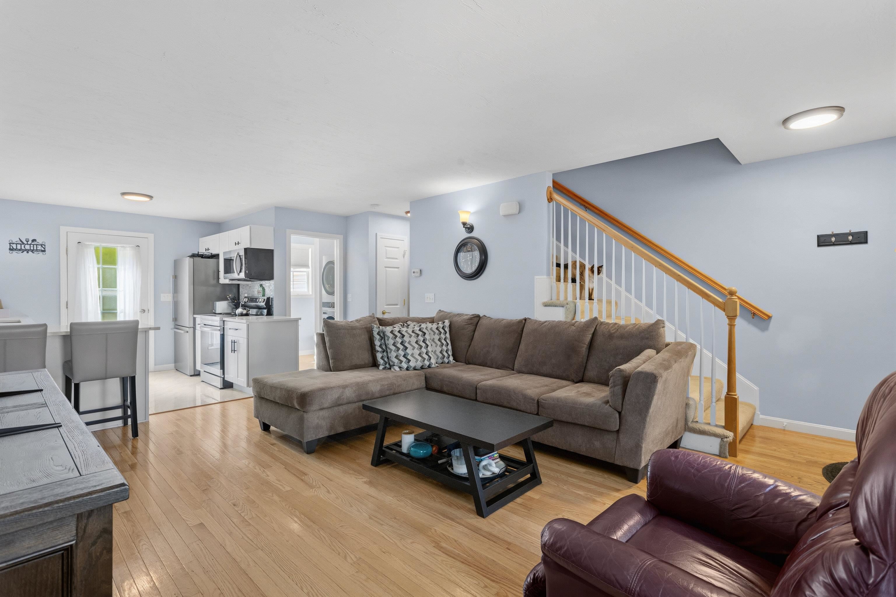 61 Dicandra Drive