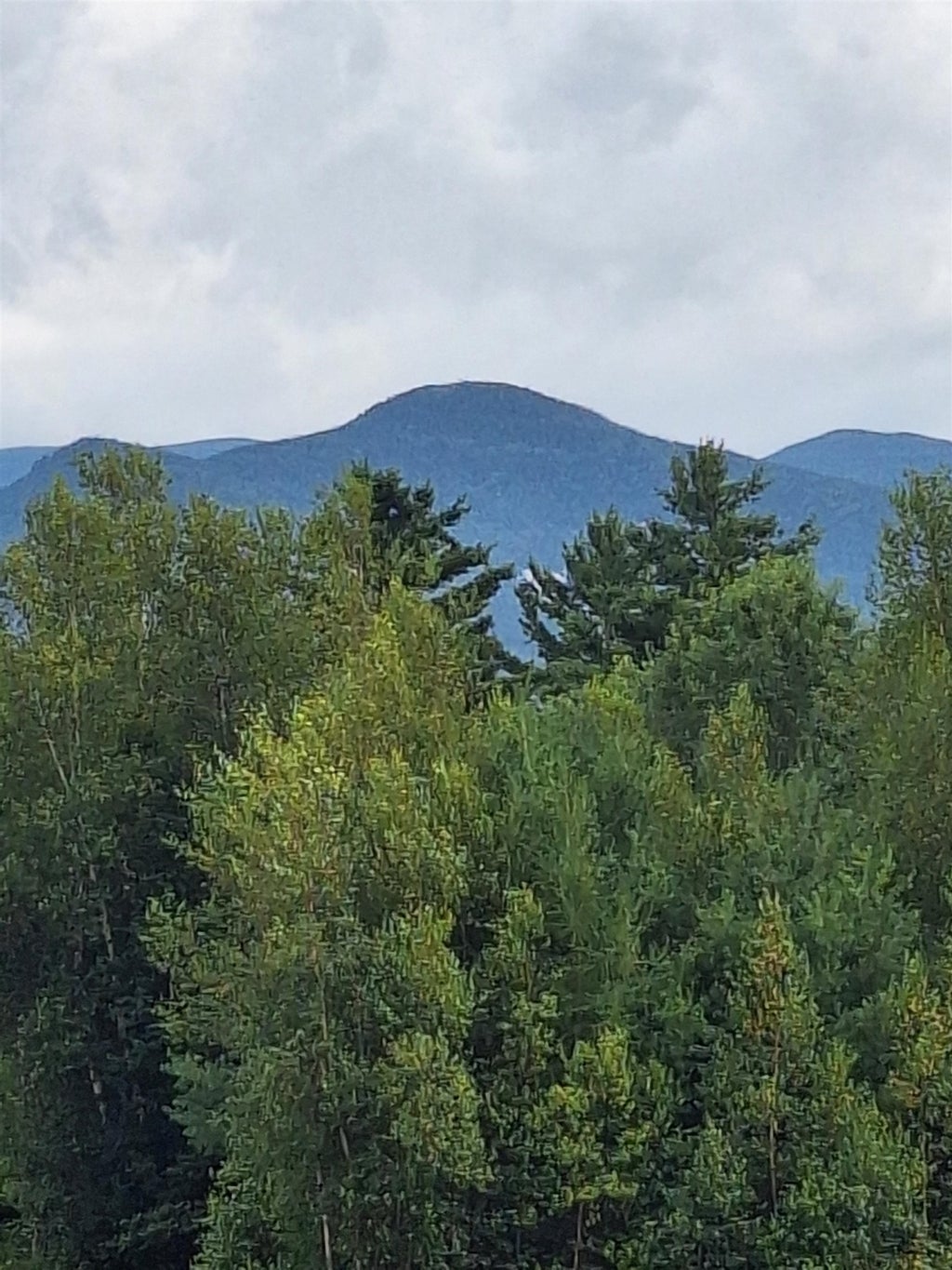 Photo of 125 Hollins Road, Haverhill, NH 03765 (MLS # 5105069)