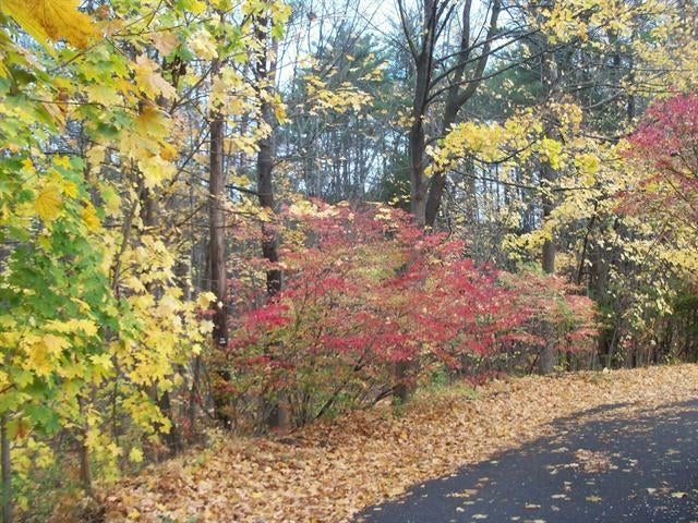 Photo of Sanborn Street, Laconia, NH 03246 (MLS # 5089299)