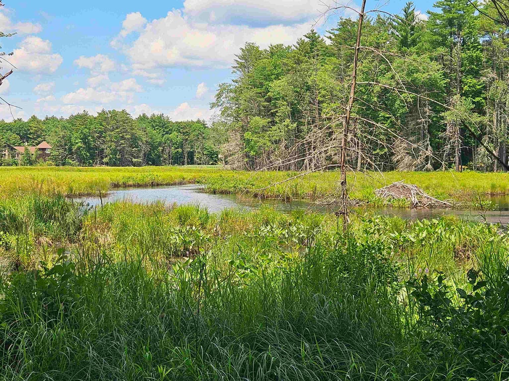 Photo of 25732 Route 11, New Durham, NH 03855 (MLS # 5107471)