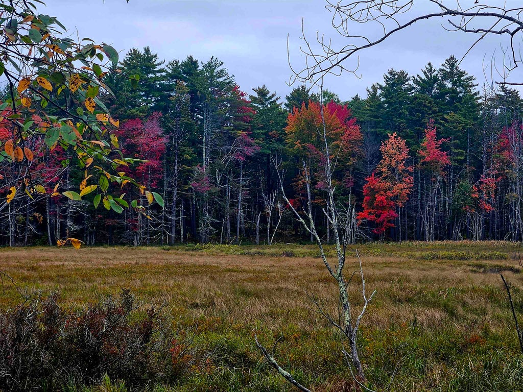 Photo of 25732 Route 11, New Durham, NH 03855 (MLS # 5107471)