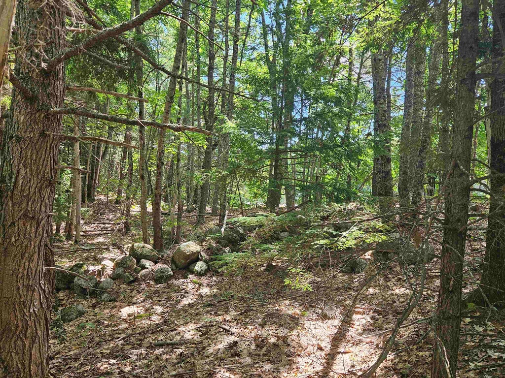 Photo of 25732 Route 11, New Durham, NH 03855 (MLS # 5107471)