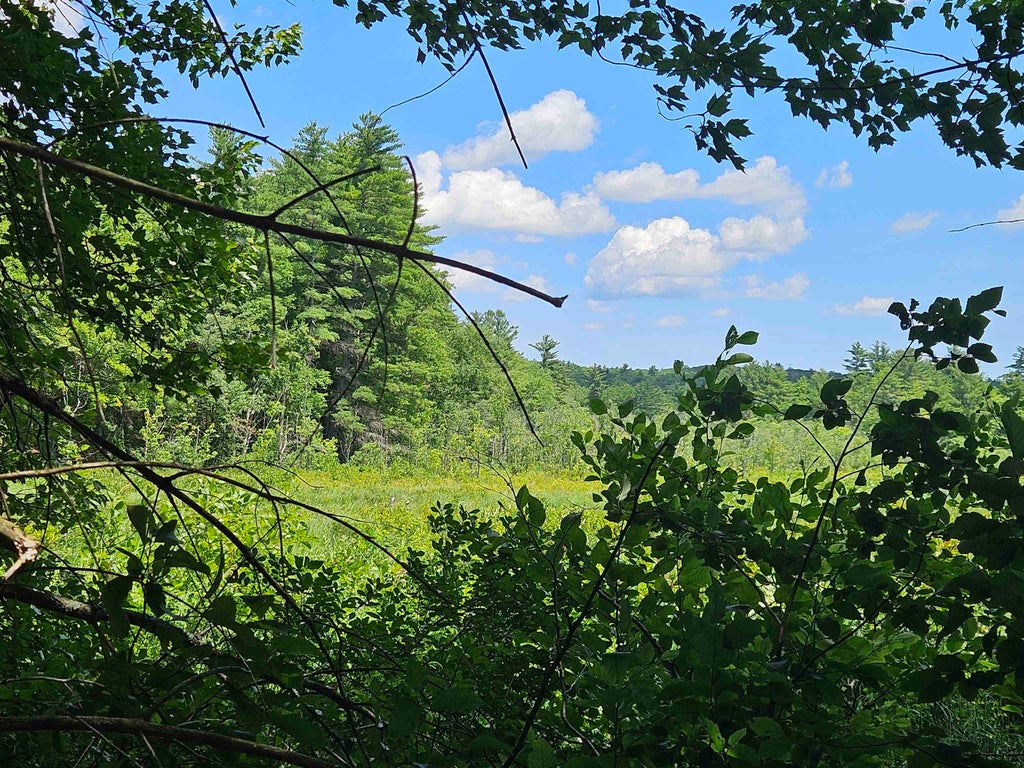 Photo of 25732 Route 11, New Durham, NH 03855 (MLS # 5107471)