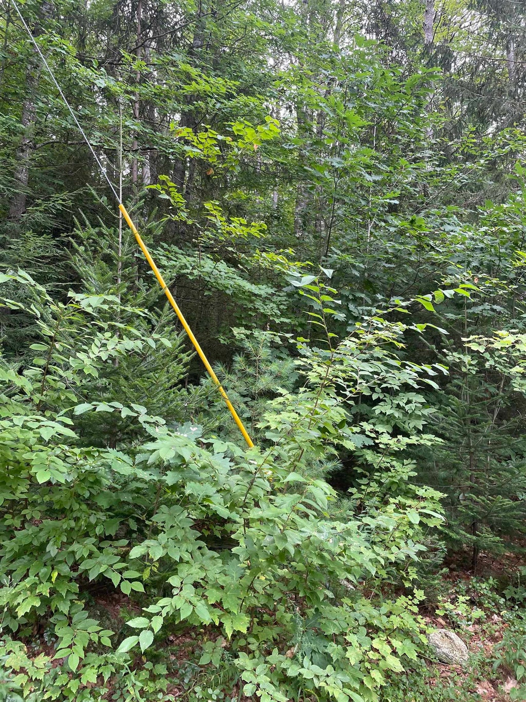 Photo of Sweeney Road, Washington, NH 03244 (MLS # 5108935)