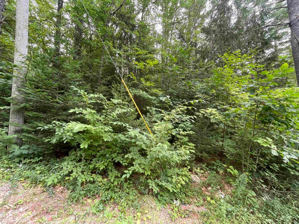 Photo of Sweeney Road, Washington, NH 03244 (MLS # 5108935)