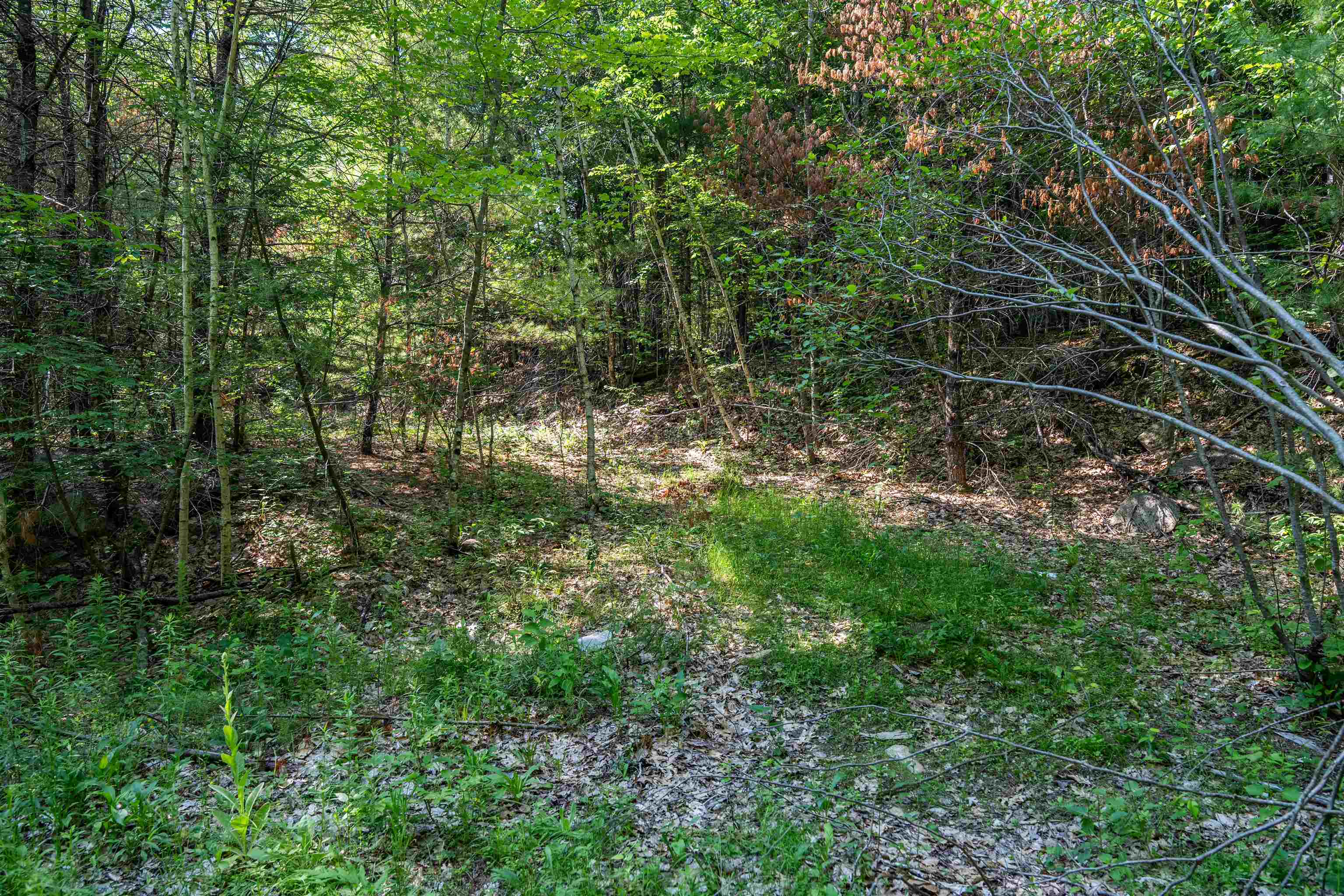 Lot 4.2 Tommy Lot Road