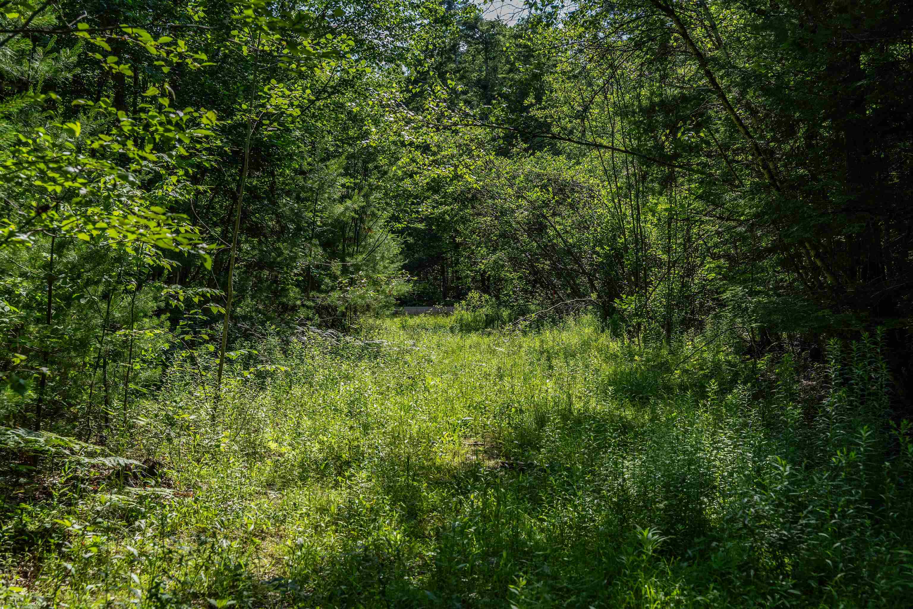Lot 4.2 Tommy Lot Road