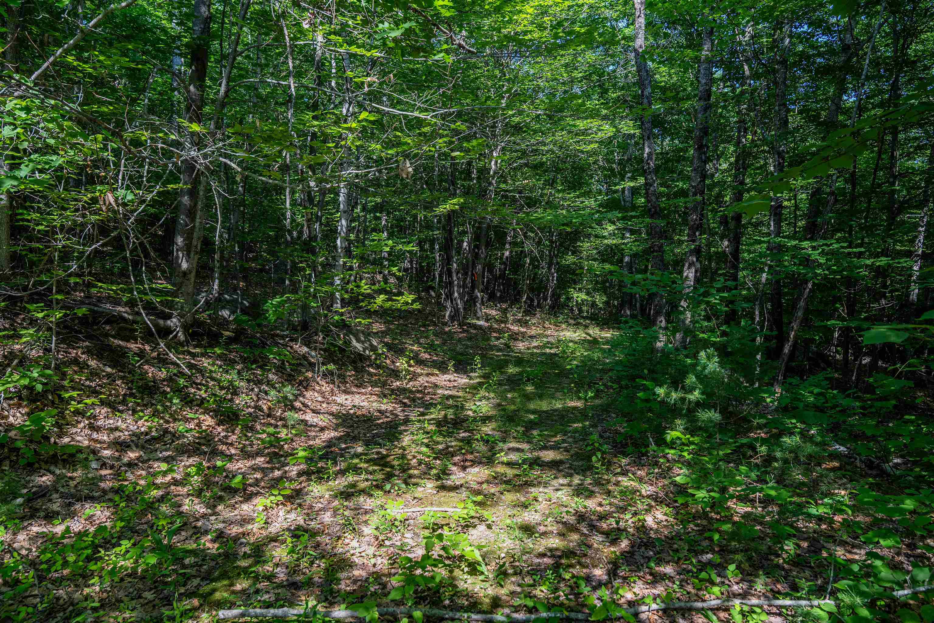 Lot 4.2 Tommy Lot Road