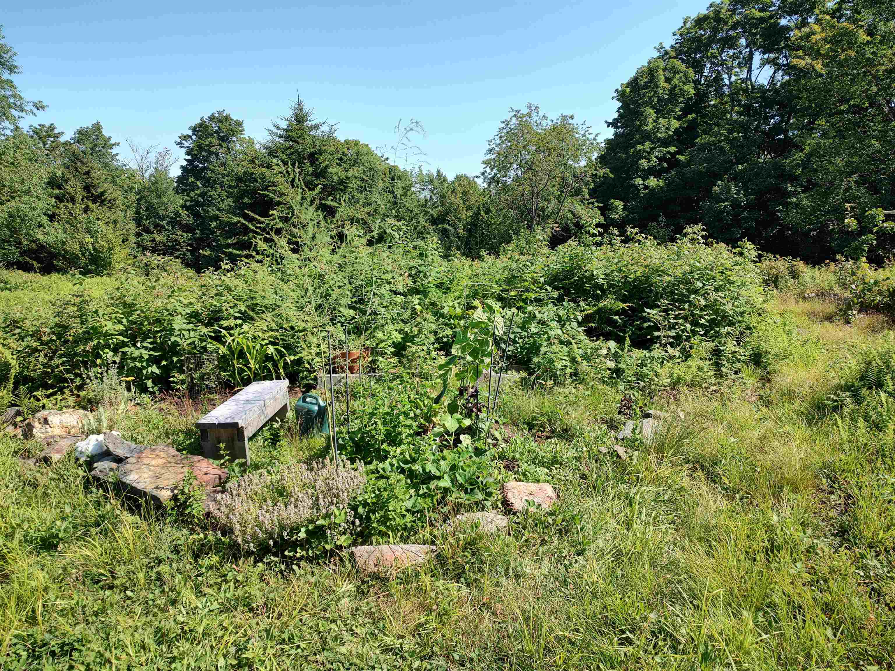2501 Chelsea Mountain Road