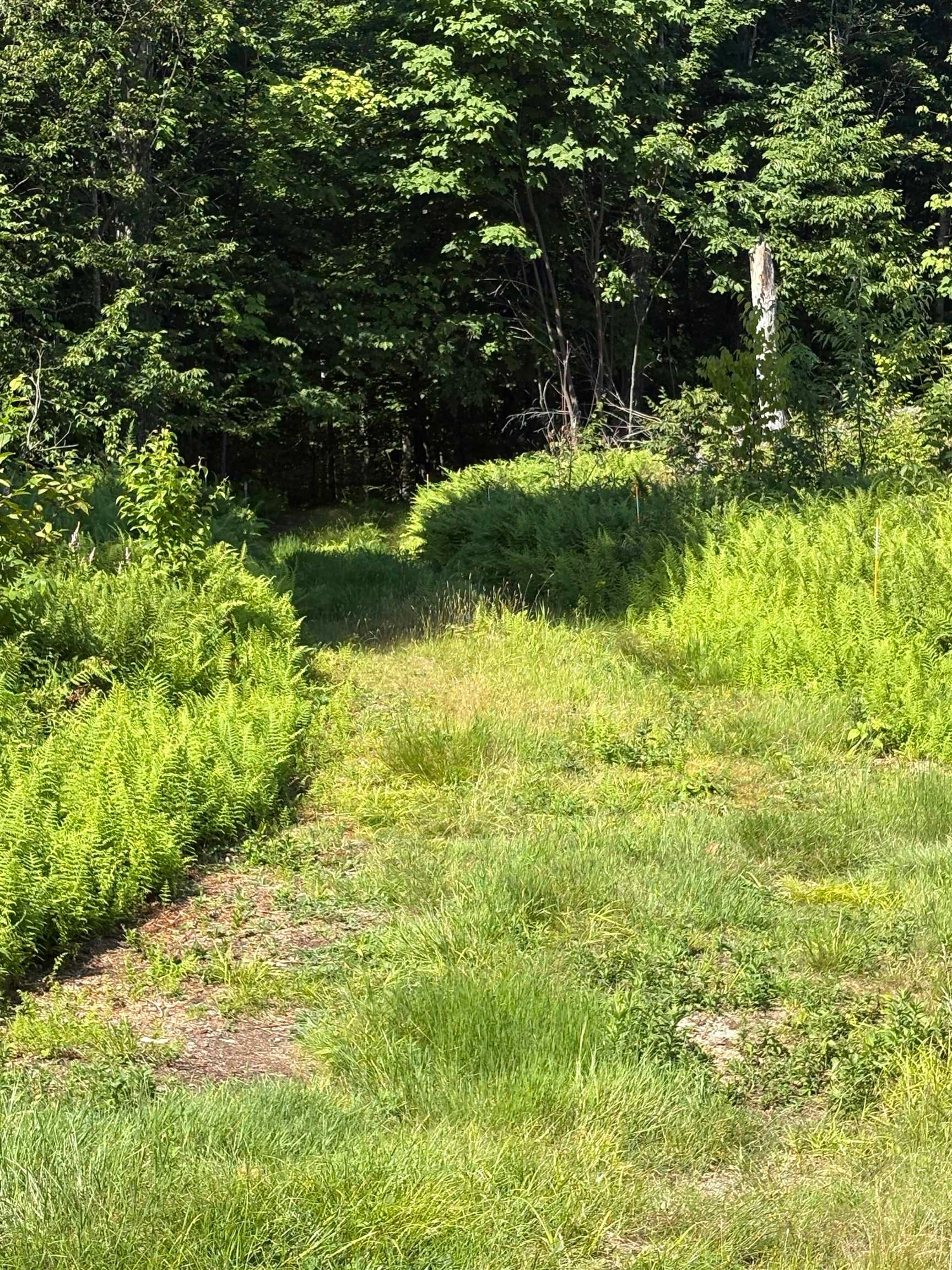 2501 Chelsea Mountain Road