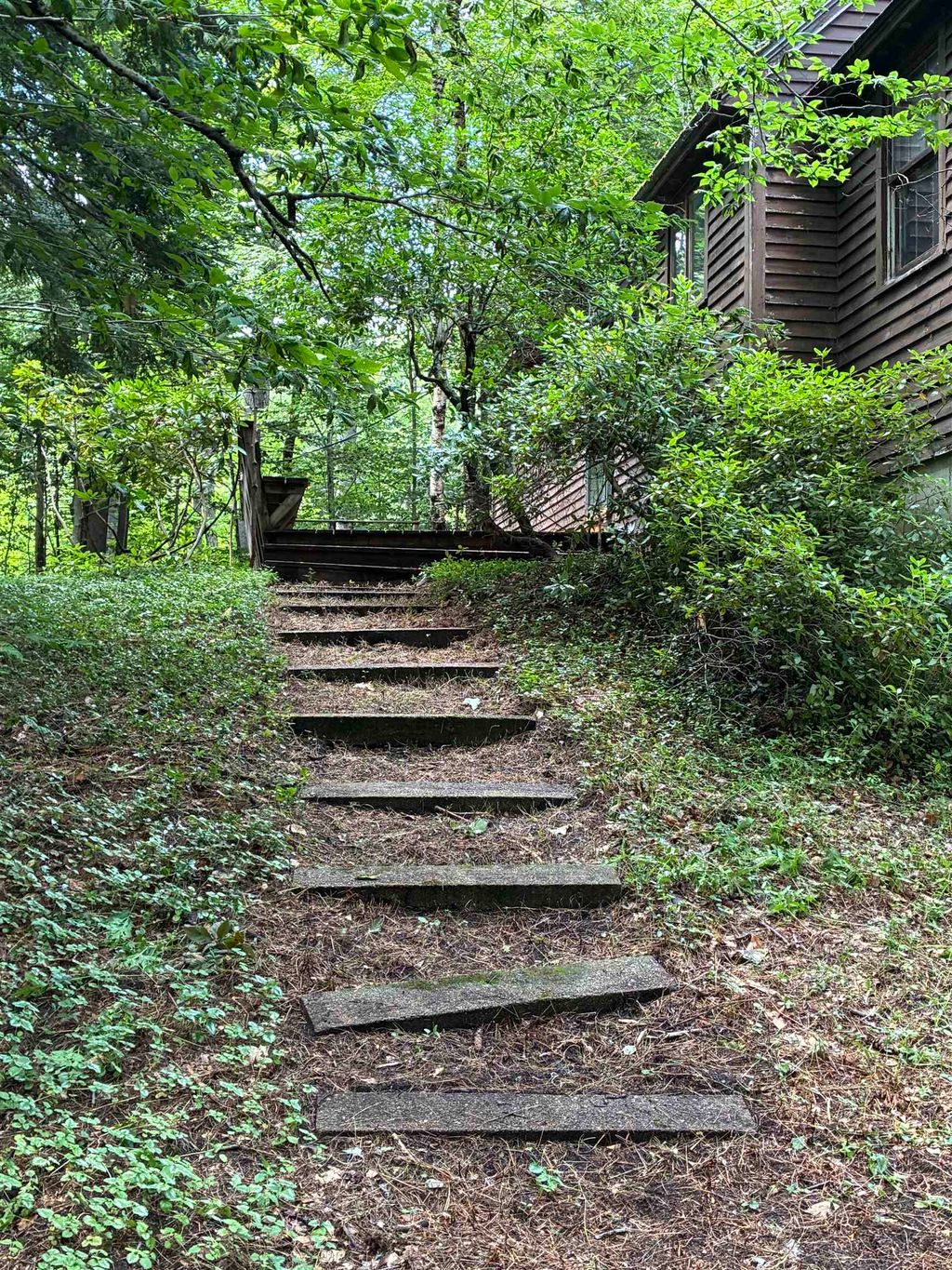 Photo of 224 Forest Road, Hancock, NH 03449 (MLS # 5101297)