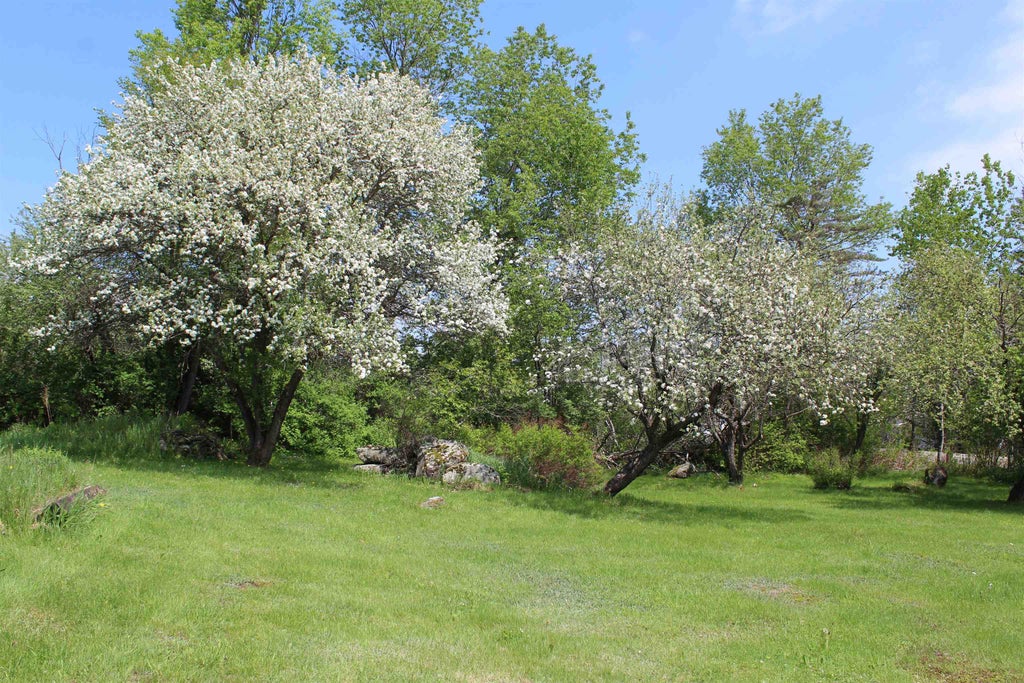 Photo of 285 Portland Street, Lancaster, NH 03584 (MLS # 5091449)