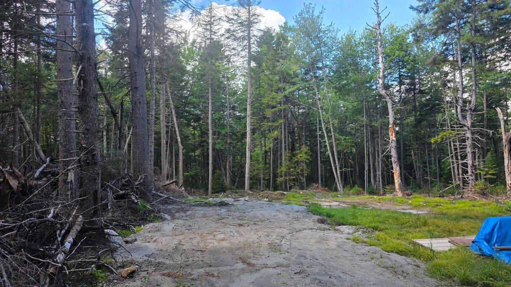 Photo of 1041 Taylor Circle, Washington, NH 03280 (MLS # 5108471)