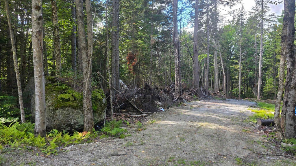 Photo of 1041 Taylor Circle, Washington, NH 03280 (MLS # 5108471)