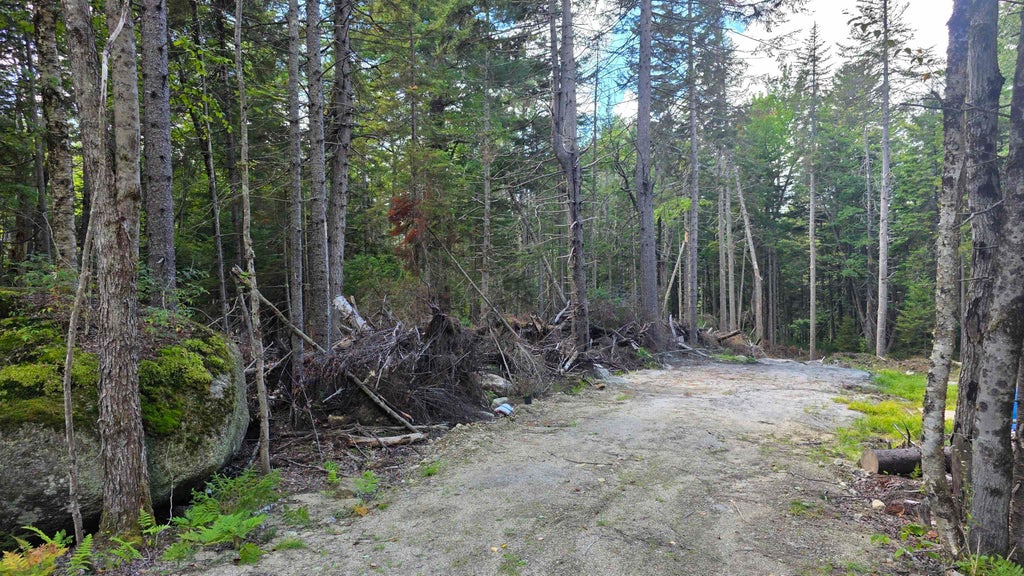 Photo of 1041 Taylor Circle, Washington, NH 03280 (MLS # 5108471)