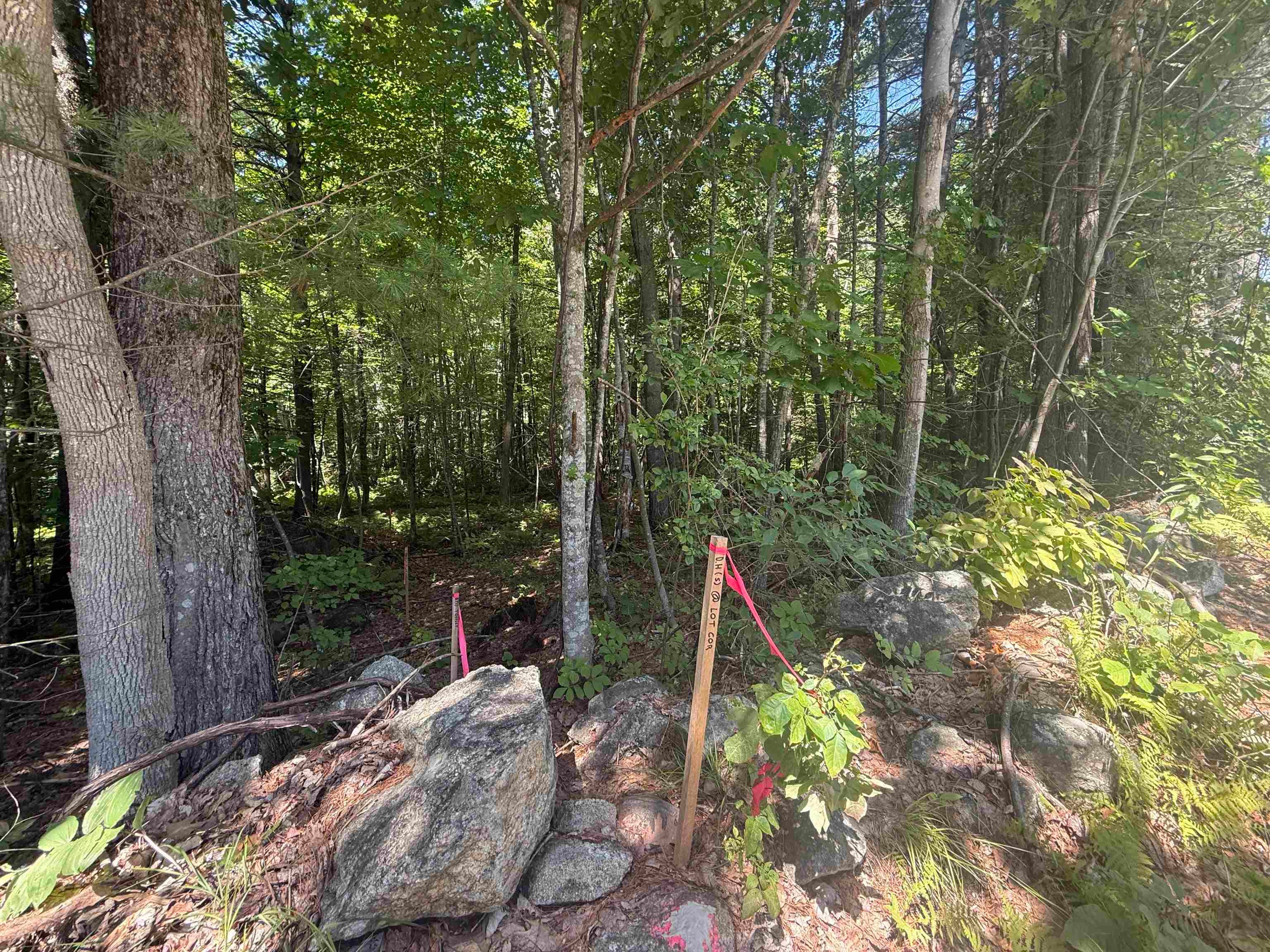 Lot 51-5-2 Ball Hill Road