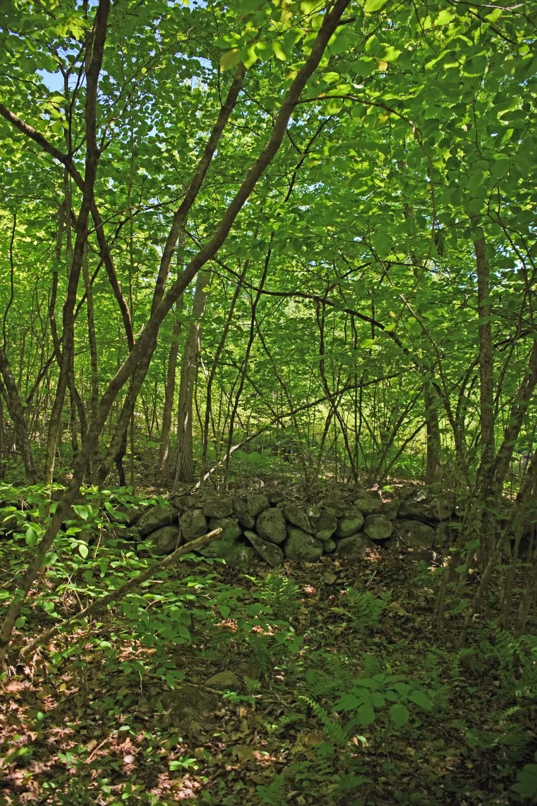 401 Sixth Range Road