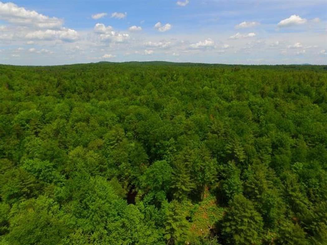 401 Sixth Range Road