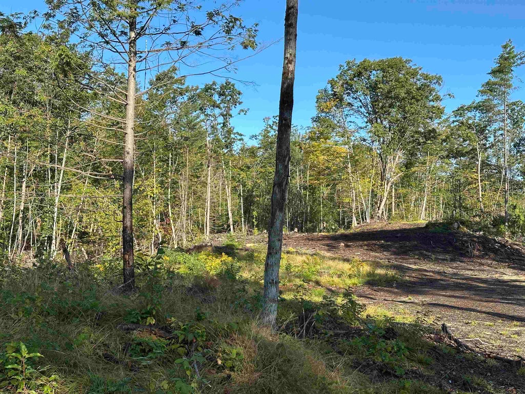 Photo of 00 Valley Road, Ossipee, NH 03814 (MLS # 5109662)